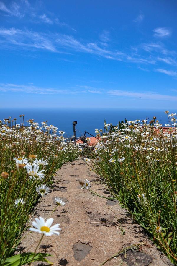 Casas Tipicas Candelaria Tabua Ponta do Sol  Dış mekan fotoğraf